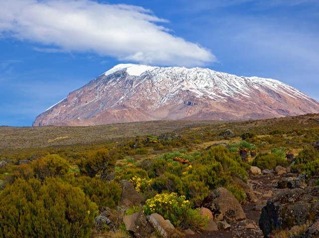 The Kilimanjaro Guide