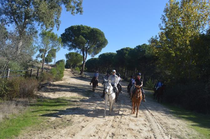 An example of the 7 night Trails of Andalucia itinerary planned is set out below but please note that this is only an example and your guide may change the day-by-day route if the weather or other