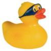 BARFORD DUCK RACE D ESPITE A pandemic of avian flu, we can confirm that the Barford ducks are fit and healthy, and the Duck Race will go ahead this year, and guess what?