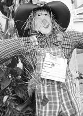 The Grand Prize of $500 will be presented for the Judges Award to the top scarecrow overall.
