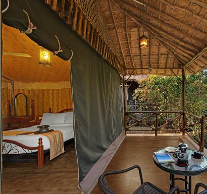 EXPECT THE EXTRAORDINARY 3 nights Fern Gir Forest Resort Gir National Park India Discover Asiatic