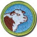 Animal Science and Mammal Studies Spend half the week on Animal Science and the other half on Mammal Studies two merit badges in one session!
