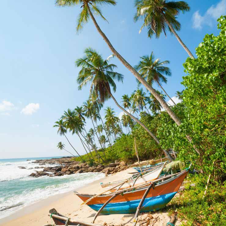 On the west coast of Sri Lanka, Kalutara is the ideal place to relax and indulge yourself with a stay at your chosen hotel of the 3H plus Coral Sands Hotel, 4H The Palms