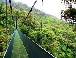 Days five and six Day 5: Monteverde Visit the Santa Elena Cloud Forest Plant a tree in the EF reserve in Monteverde with your group Participate in a canopy adventure Please note: Travelers must weigh