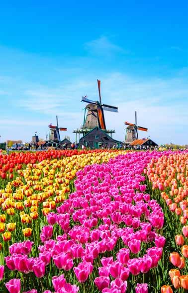 What IS Included in the Tour Package Round trip flights with Air Lingus from Charlotte, NC to Amsterdam, returning from Copenhagen via Dublin.