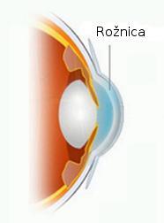 Zjenica (lat. pupil) je okrugli otvor u centru šarenice. Zjenica se čini crnom jer se kroz otvor vidi vrlo pigmentirani unutarnji sloj mrežnice.
