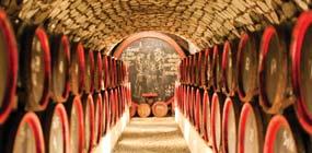 In this area, we provide you excursions to several wine areas, while each of them will surprise you with its offer of quality wines. The package is designed as a sightseeing tour.