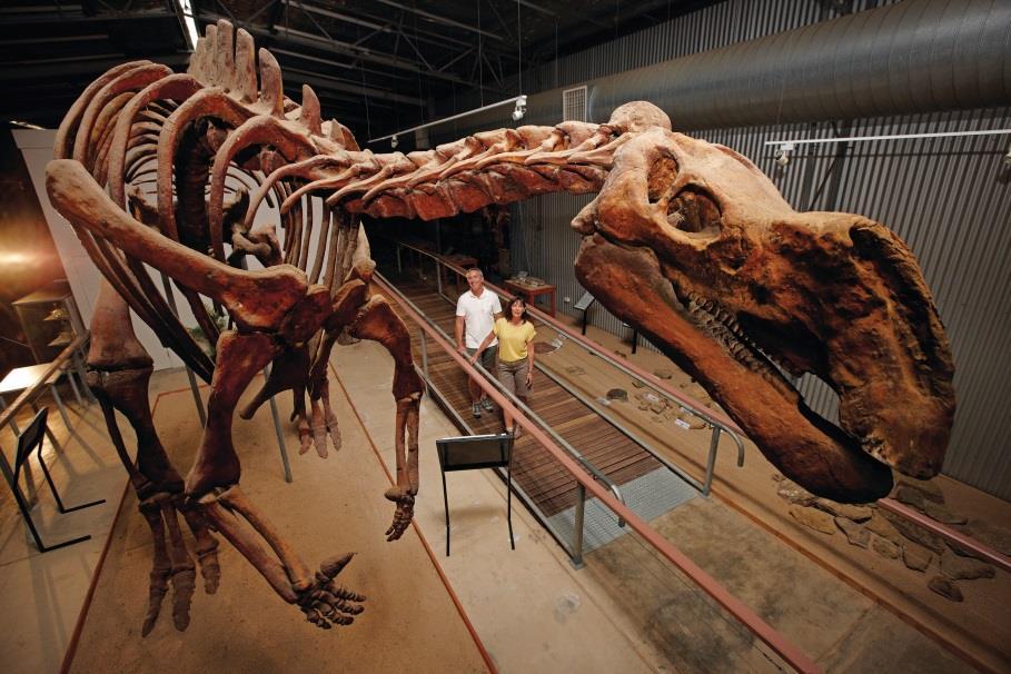 Hughenden Visit Hughie, the seven metre-tall Muttaburrasaurus, and an impressive fossil collection at the Flinders Discovery Centre.