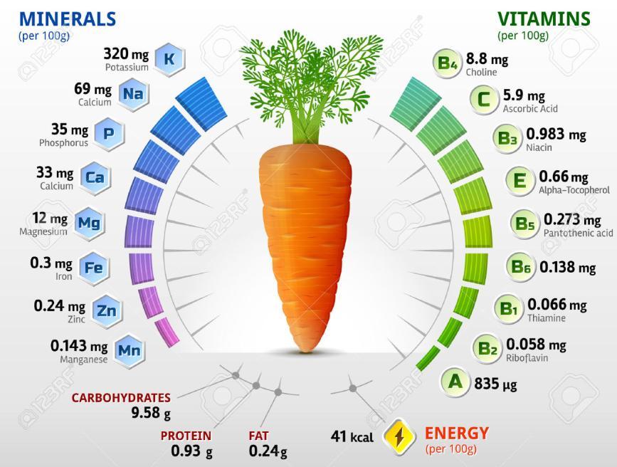 Slika 1. Nutritivna vrijednost mrkve (Izvor: https://www.123rf.com/photo_40824935_stock-vector-vitamins-and-minerals-ofcarrot-tuber-infographics-about-nutrients-in-carrot-qualitative-vector-illu.