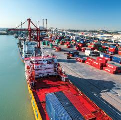 915 m² Batán dock 180,000 m2 Containers and RO-RO available capacity 600,000 TEUS Cranes 17 Cold stores 62,433 m³ Port industry turnover 1,100 million Tugboats 2 700 m berthing line 13,000 m2 for