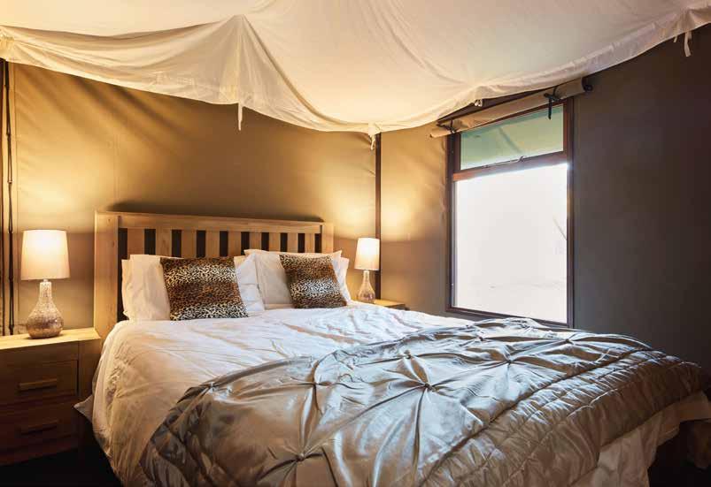 Safari DeluxeLodges This amazing experience is exclusive to Waterside. Indulge in luxurious safari themed fixtures and fittings throughout.