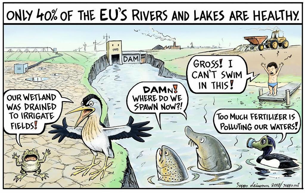 #ProtectWater. The EU Water Framework Directive is one of the world's most advanced environmental directives, but many EU Member States want to weaken it.