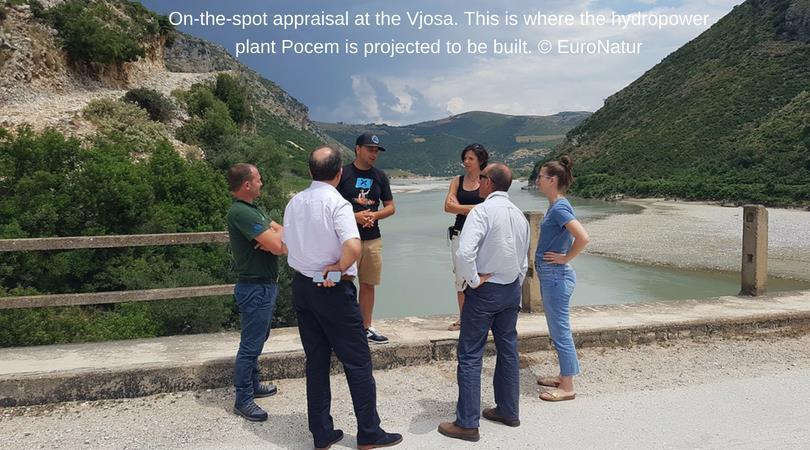 After a creek in the Nature Park was displaced without a permit to pave the way for the construction of a hydropower plant, residents of Pirot/Stara Planina took it into their own hands to