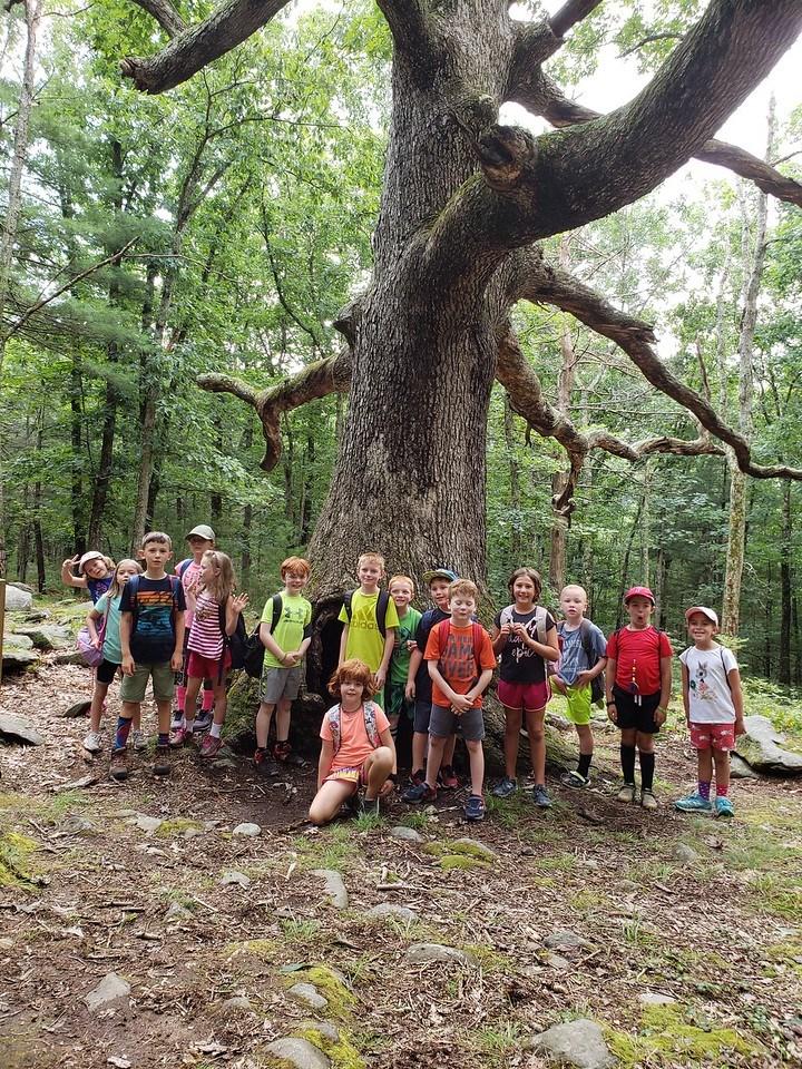 ABOUT CAMP At Wachusett Meadow Nature Day Camp in Princeton, campers ages 3.5 to 17 make new friends and discover the wonders of the outdoors.
