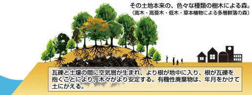 trees will thus stand more firmly while organic waste will become getting back to soil in years (Source:Life saving forest seawall promotion conference,tohoku 22 The Act on Development of Areas