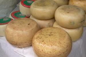 8.2. Tounjski sir Tounjski sir dimljeni je sir, koji se proizvodi na širem području Tounja, oblika okrugle pogače sa zlatno-smedim površinskim slojem.