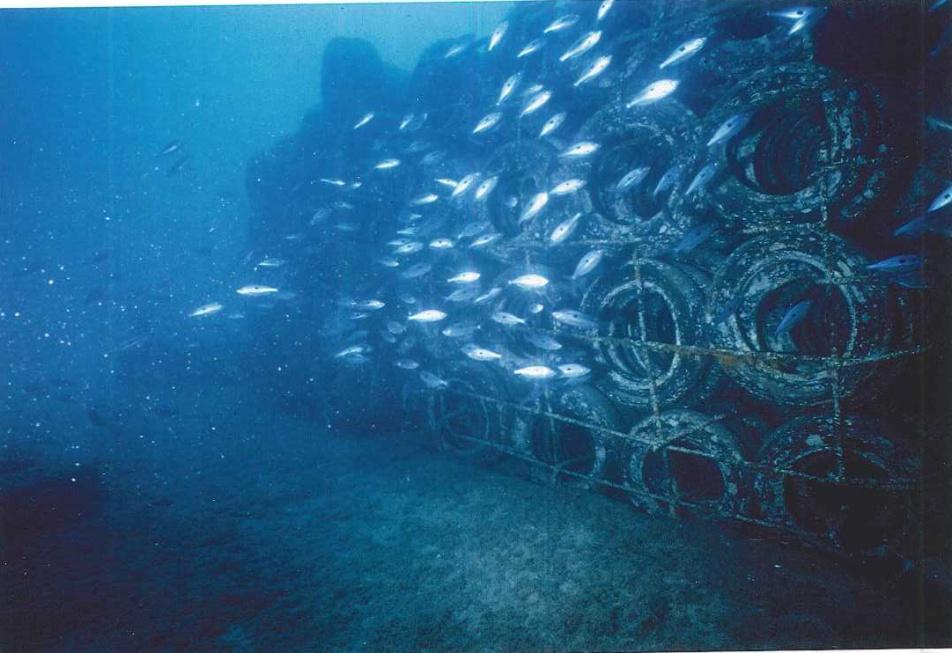 artificial reefs consisting of 2,500 tires @ Direction