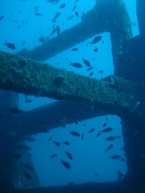 Artificial reefs worldwide and in France Japan has the biggest volume of underwater artificial reefs with over 20 million cubic metres. The reefs are mainly used for fishery purposes.