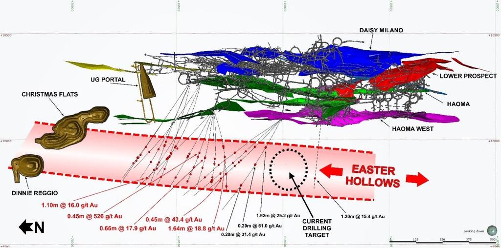 Figure 5: Plan view showing the Daisy Mine lode system, underground development, interpreted Easter Hollows zone and surface projection to the Christmas Flats and Dinnie Reggio open pits, assay