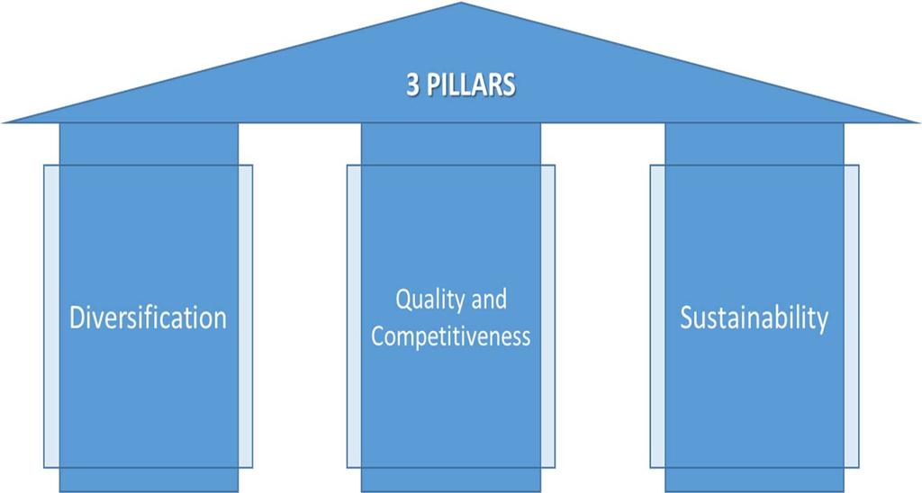 7.2 Pillars of the Tourism Development Strategy Based on the individual meetings and workshops carried out by Target Euro with local tourism stakeholders, the following three pillars have been