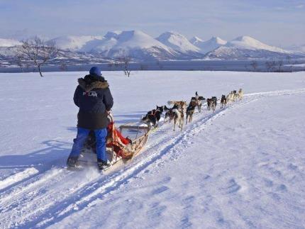 Sami camp Sami Village Tromsö boat cruise Bergen in February Bergen view Dog sledge Snowmobile We offer a choice of activities in Tromsø area during your days there.