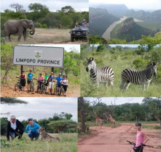 South Africa South Africa Safari Cycling Tour 2019 Guided Tour 10 days/9 nights How about combining cycling with a safari experience?