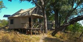Day seven: After breakfast at Camp Savuti, you will depart via road transfer to Camp Linyanti. Camp Linyanti is a 90 minute game drive from Saile airstrip located in the Chobe National park.