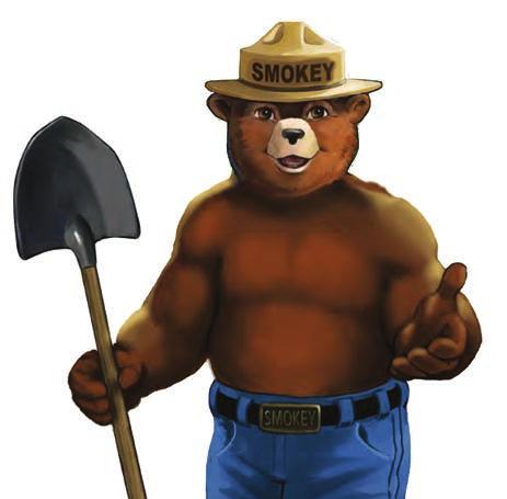 Only you can prevent wildfires. 2.