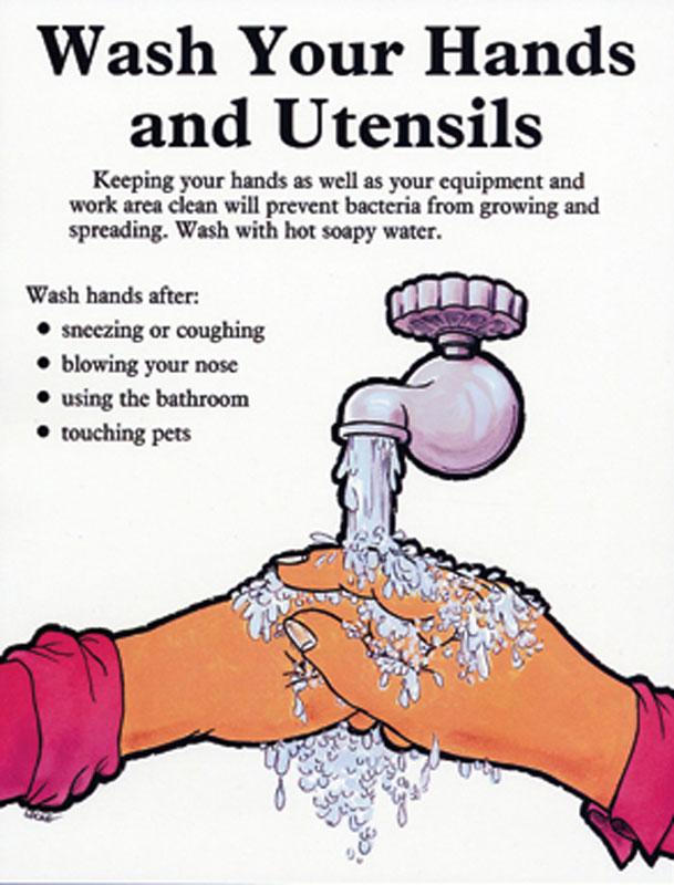 When To Wash Hands Before eating or preparing your food After using the washroom After touching a pet Whenever hands come in contact with body fluids including vomit, saliva, and runny noses After