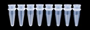 Screw Cap Micro centrifuge Tubes Thin Wall PCR Tubes Polymerase Chain Reaction Thin Wall PCR Tubes Polymerase Chain Reaction Manufactured of polypropylene sturdy enough to withstand centrifugation