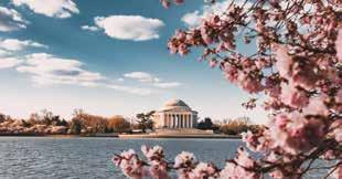 the most impressive cities in the world, Washington, D.C. Full of history, magnificent buildings, museums and monuments, there is something for everyone.
