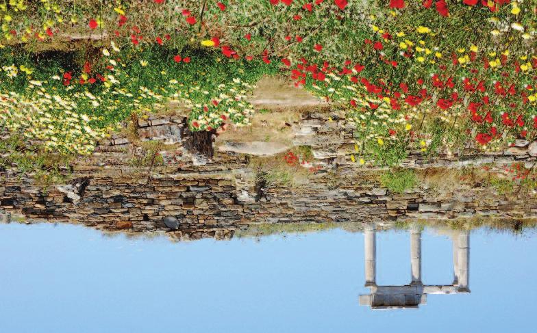 Delos tion renowned for its friendliness and hospitality, and a cuisine that has been studied by the world s nutritionists for its health benefits, Crete is a beguiling place to visit and explore.