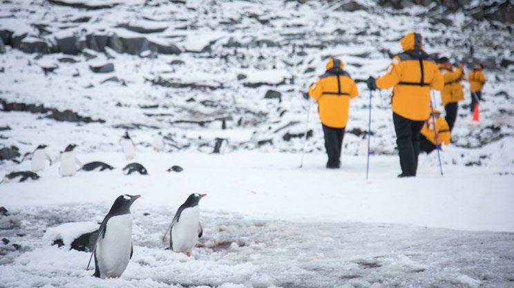 After your group transfer to the hotel, you are free to explore and enjoy an evening on your own, in the city or at the hotel to reminisce about the sights and sounds of Antarctica.