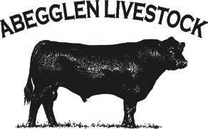 the terms and conditions of the American Angus Association. Terms of the sale are cash on sale day, unless prior arrangements have been made.