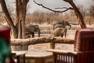 lodge, bordering Moremi Game Reserve. Twin share permanent tented lodge with en-suite facilities.
