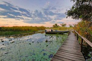 So there are a variety of camps and lodges within the Okavango, offering a range of standards and prices.