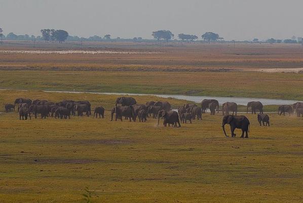 In the afternoon on the second day, a boating excursion on the Chobe River offers a new dimension to game viewing.