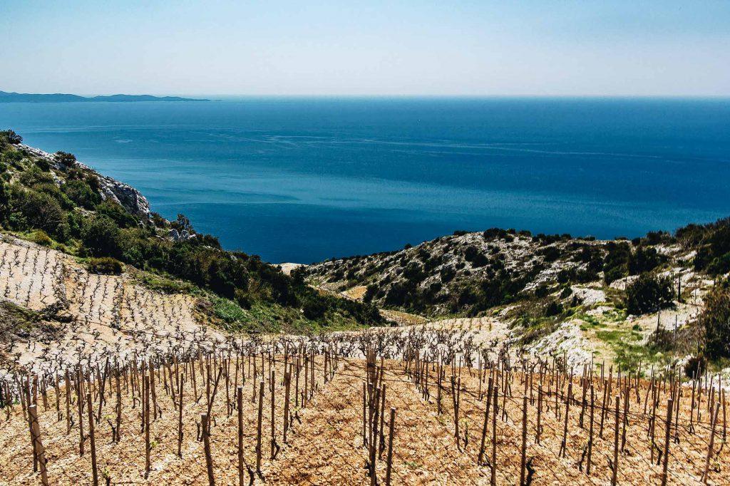 SAT, MAY 18 DAY 3 PELJESAC PENINSULA This morning, we ll head to the Pelješac Peninsula known for its fine wines and oysters. First, we ll meet our host for the day, a renowned Croatian winemaker.