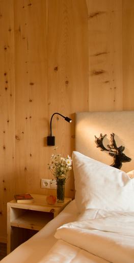 alpine-modern interior design made of native Swiss