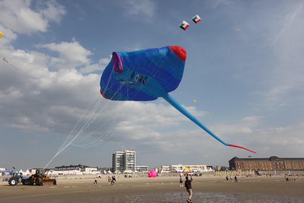 Technical Opinion or Draft Regulations Basic Regulation only removes some kites from