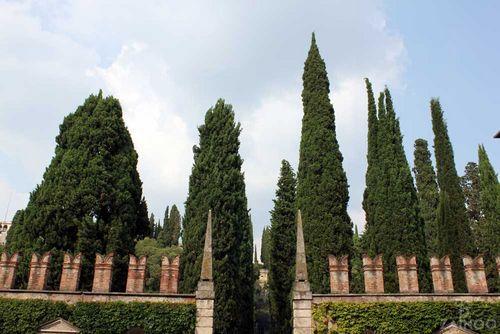 Giardini Giusti Beautiful Renaissance garden in Verona The Giradini Giusti is one of the most beautiful gardens in Italy.