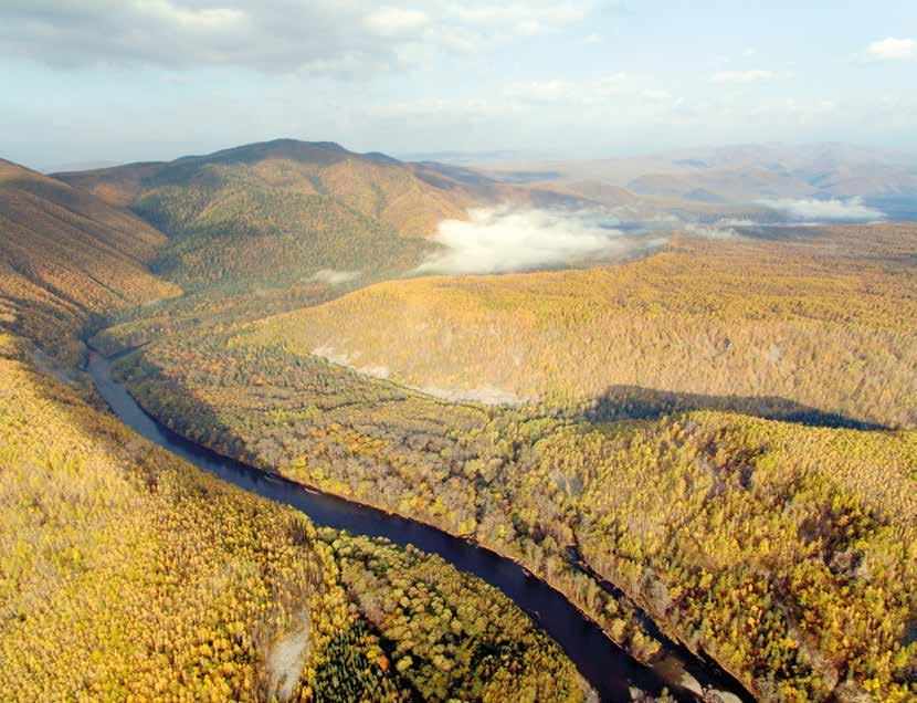 Bikin River Valley (Extension of the Central Sikhote-Alin World Heritage Property (766)) Nomination BIKIN RIVER VALLEY (Extension of the Central Sikhote- Alin World Heritage Property (766)) THE
