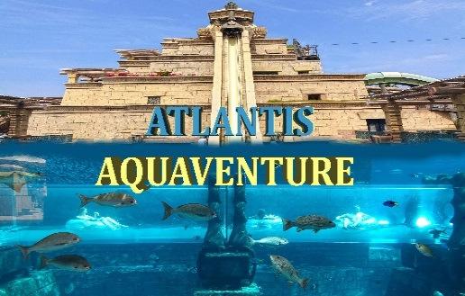 D09 AQUAVENTURE & THE LOST CHAMBERS + RETURN TRANSFER [RM430 per person] The