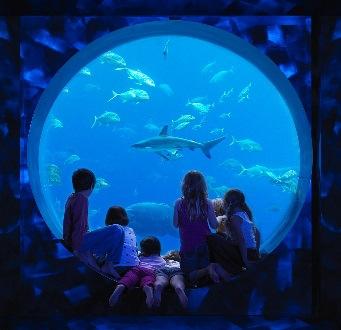 Atlantis-themed aquarium with underwater halls & tunnels housing marine life,