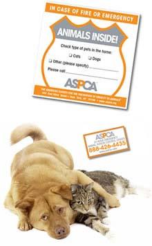 Have fun creating a sign of your own, or go to the ASPCA website to receive a free pet safety pack that includes this Animals Inside! sticker.