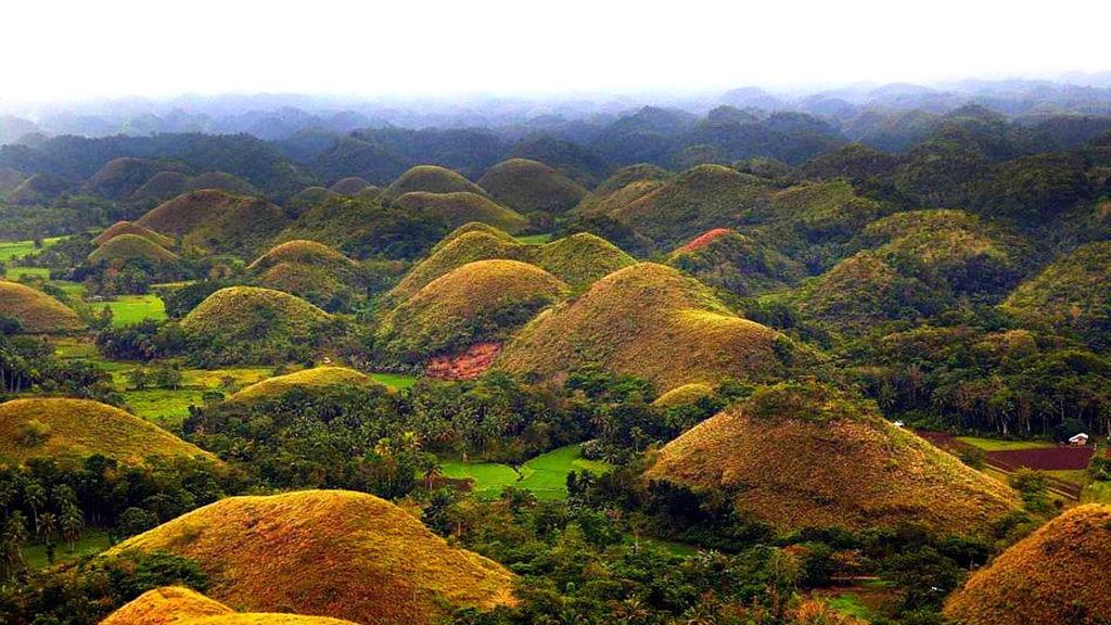Chocolate Hills are groups of hills that aren't very tall, they're shape is unusual.