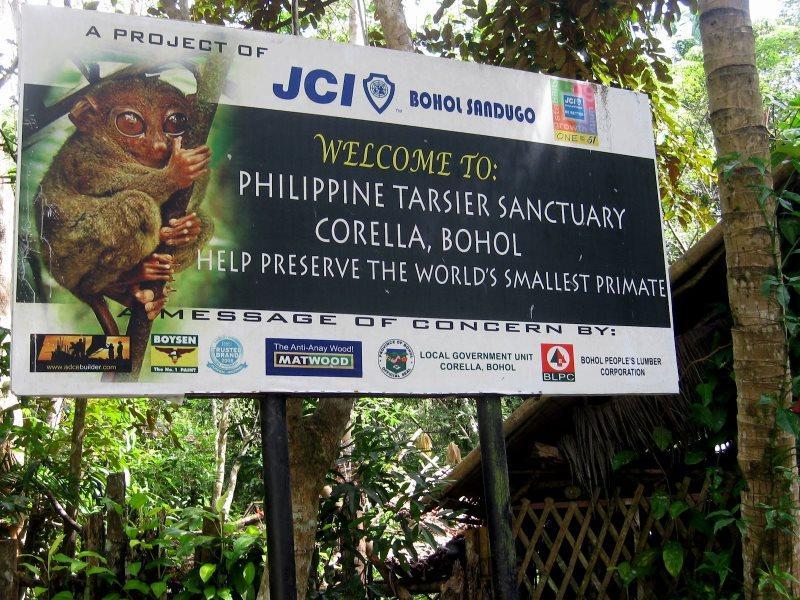 Tarsier Sanctuary has a patch of forest that