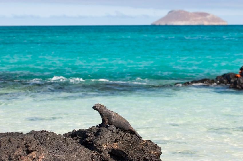 The Northern Isles Galapagos Island Discovery 5 days / 4 nights exploration of the Northern Galapagos Islands on the M/V Santa Cruz Day 1 (Sunday): Arrive Quito You will be met on arrival at Quito