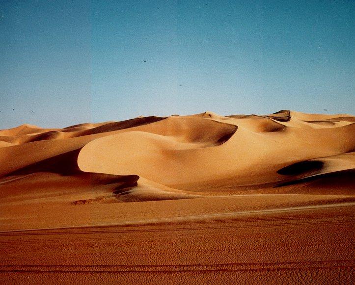 Desert: covers 30% of Africa à similar to conditions we studied on the Arabian