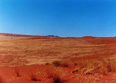 animals -Northern Semi-arid Zone is known as the Sahel à Is this region more similar to the Savannah or the desert? B.